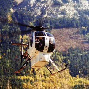 MD500D (1).webp