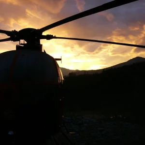 MD500D (34).webp