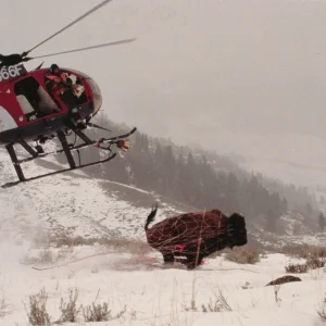 MD500D (37).webp
