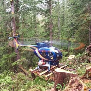 MD500D (46).webp