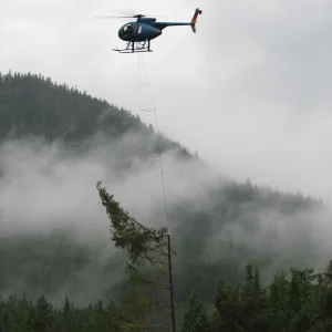 MD500D (65).webp