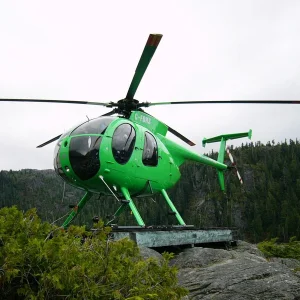 MD500D (66).webp