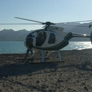 MD500D (68).webp
