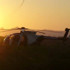 MD500D (69).webp