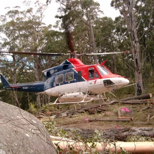 Bell 412