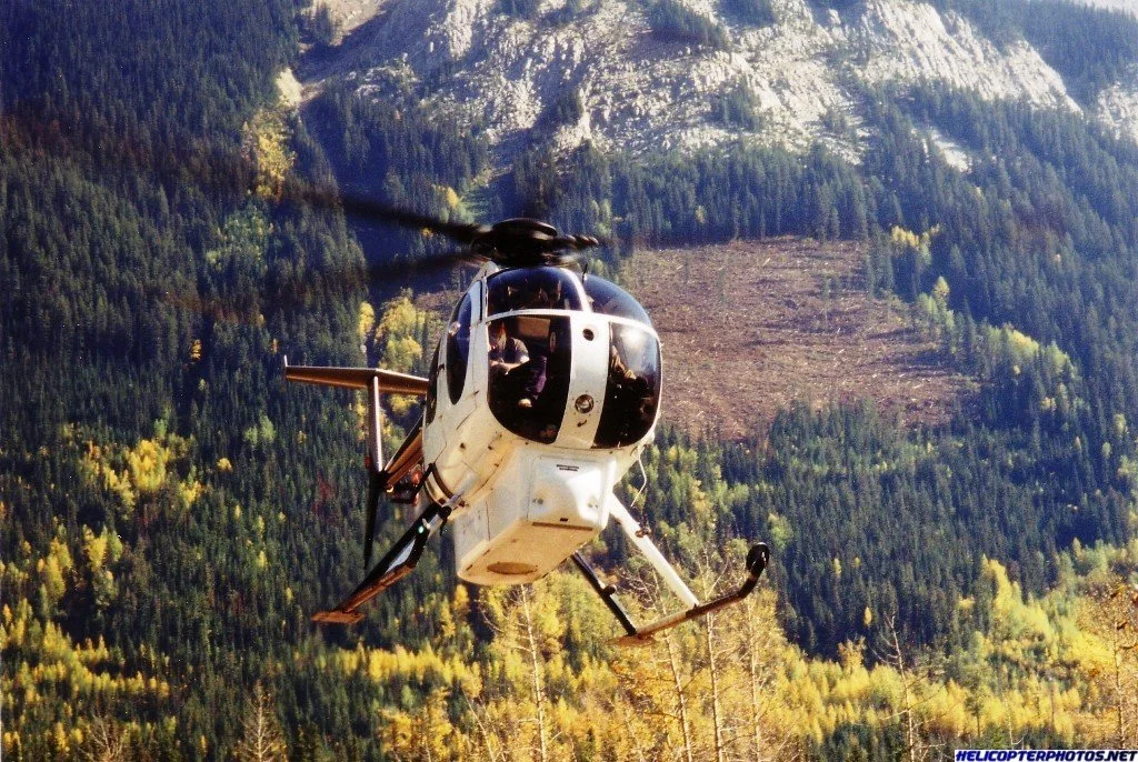 MD500D (1).webp