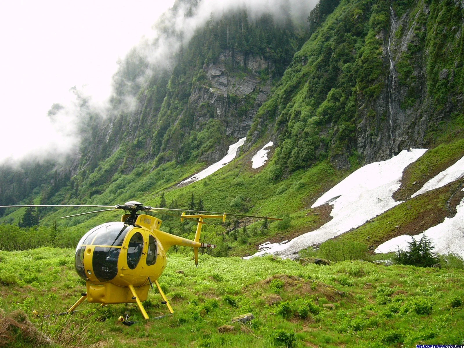 MD500D (33).webp