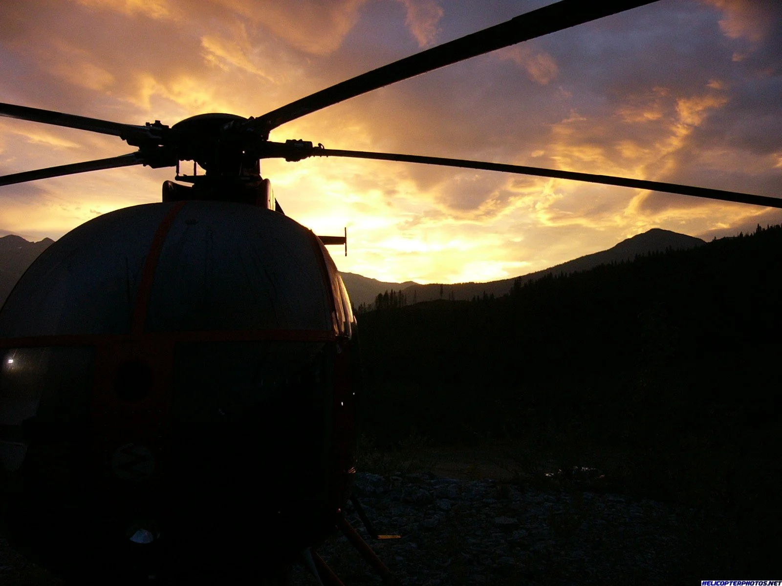 MD500D (34).webp
