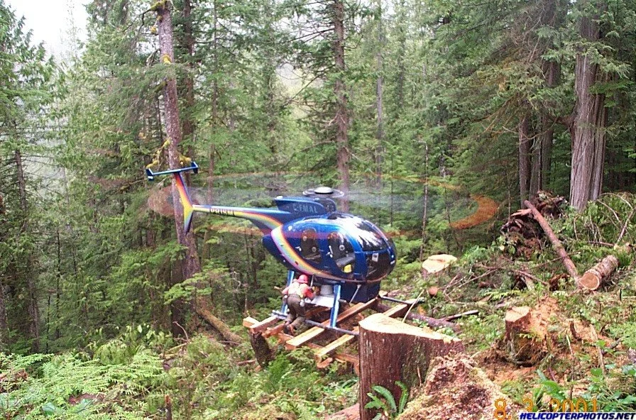MD500D (46).webp