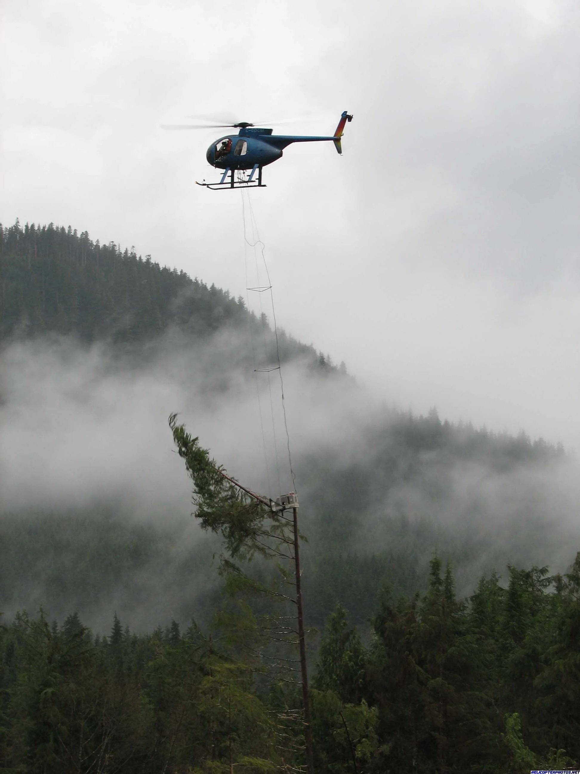 MD500D (65).webp