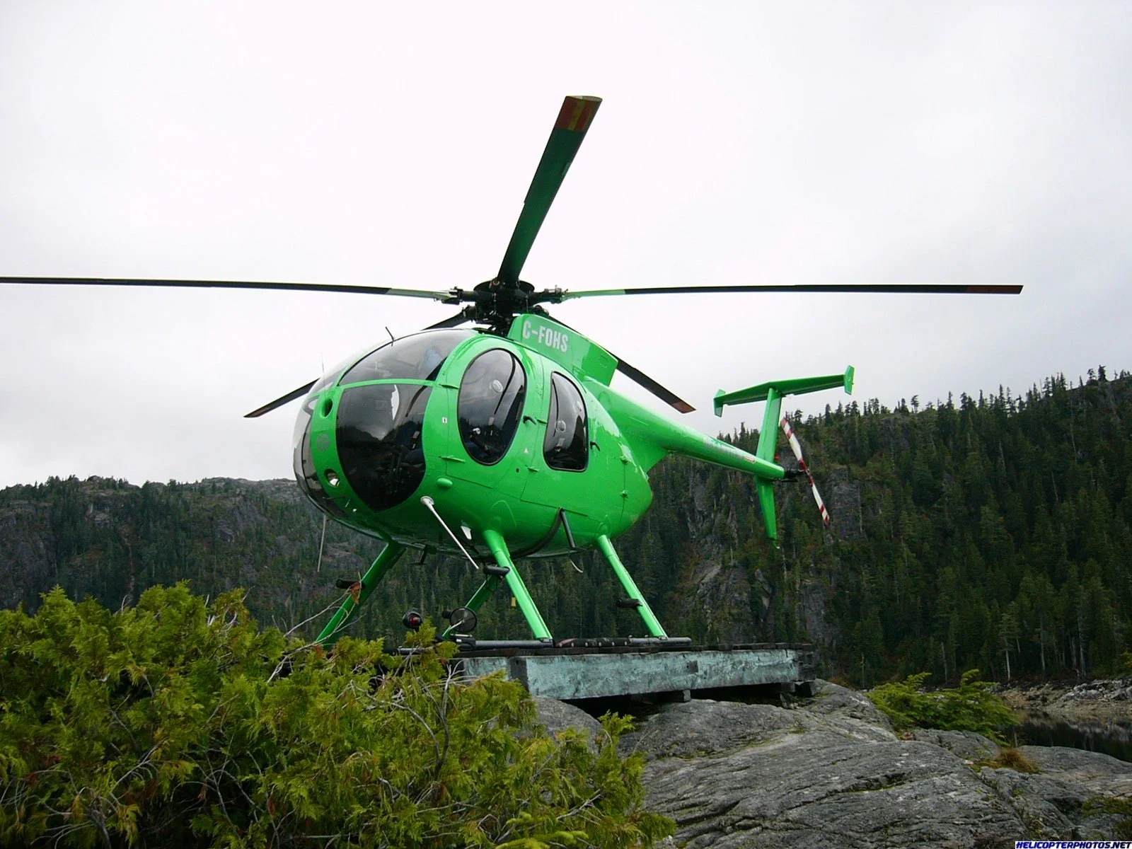 MD500D (66).webp