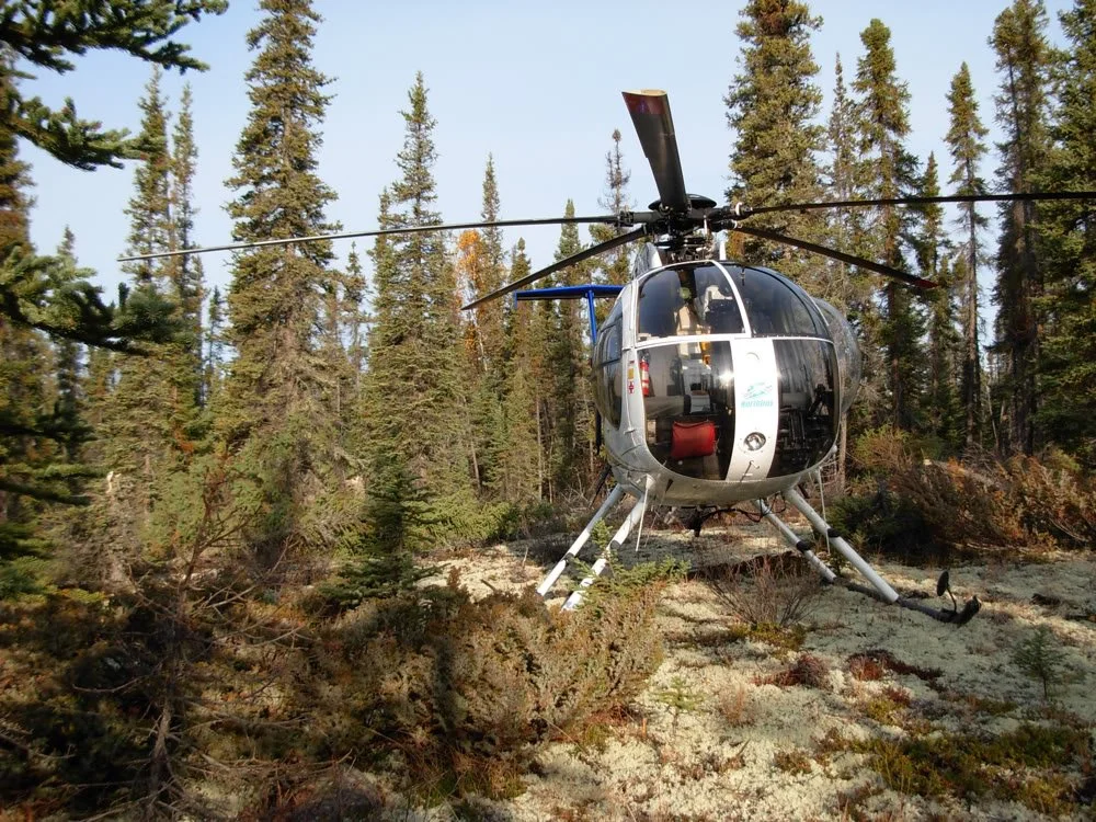 MD500D (76).webp