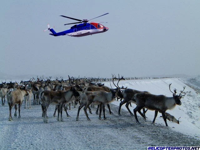 Sikorsky S-92® Helicopter